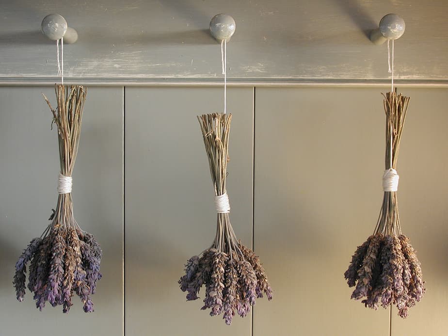 Designs exist in the Provence kitchen